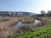 Lewes Railway Land